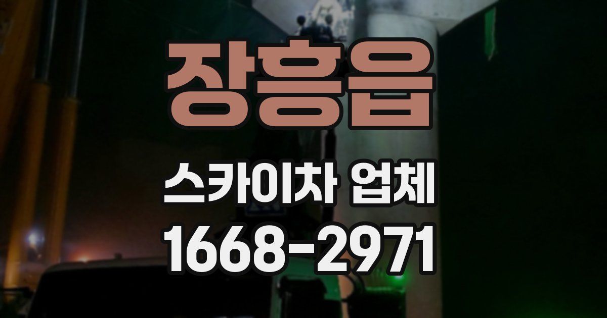 장흥읍 스카이차 업체