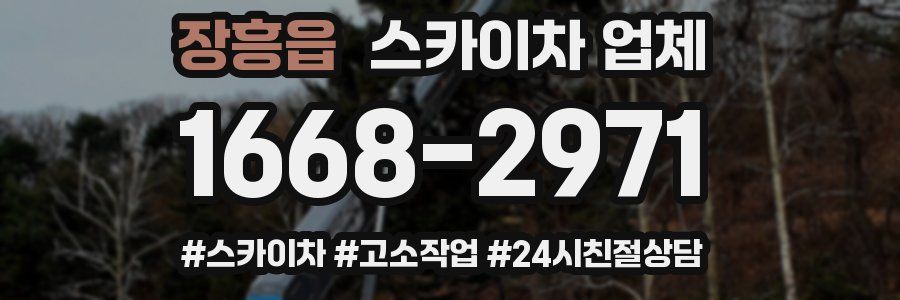 장흥읍 스카이차 업체