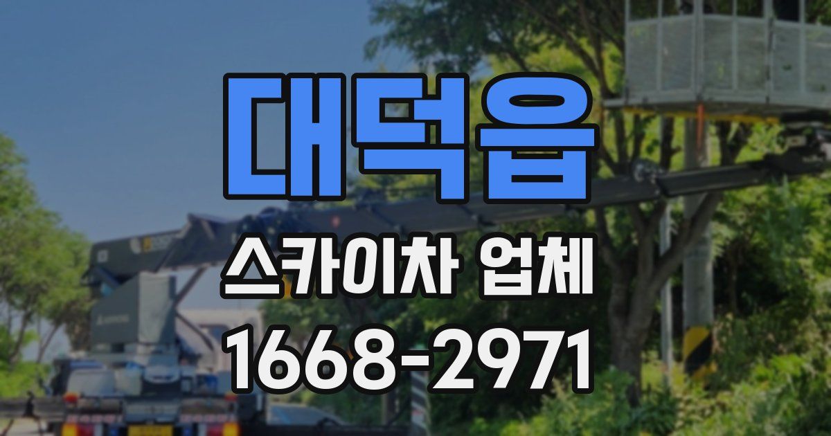 대덕읍 스카이차 업체