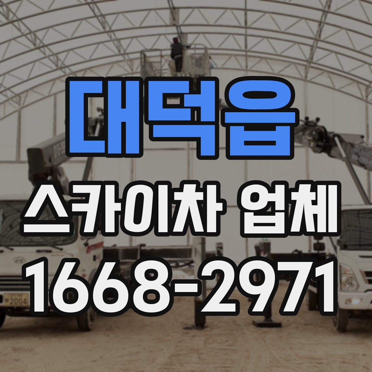 대덕읍 스카이차 업체