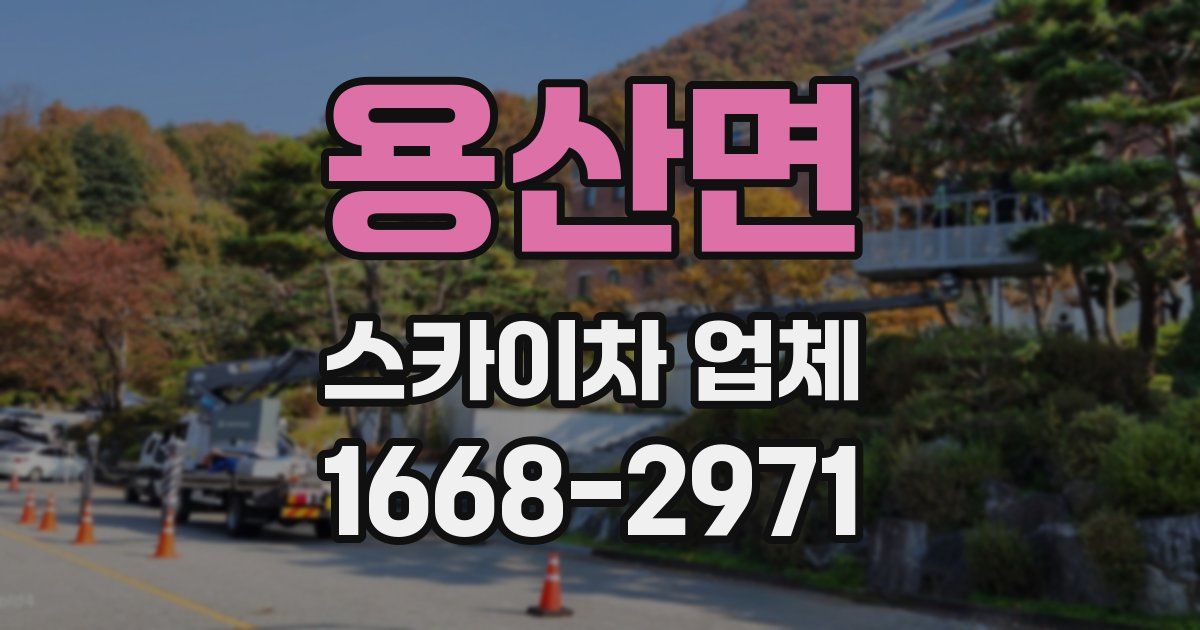 용산면 스카이차 업체