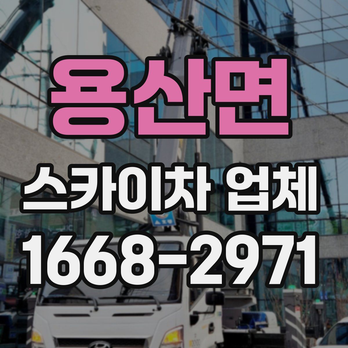 용산면 스카이차 업체