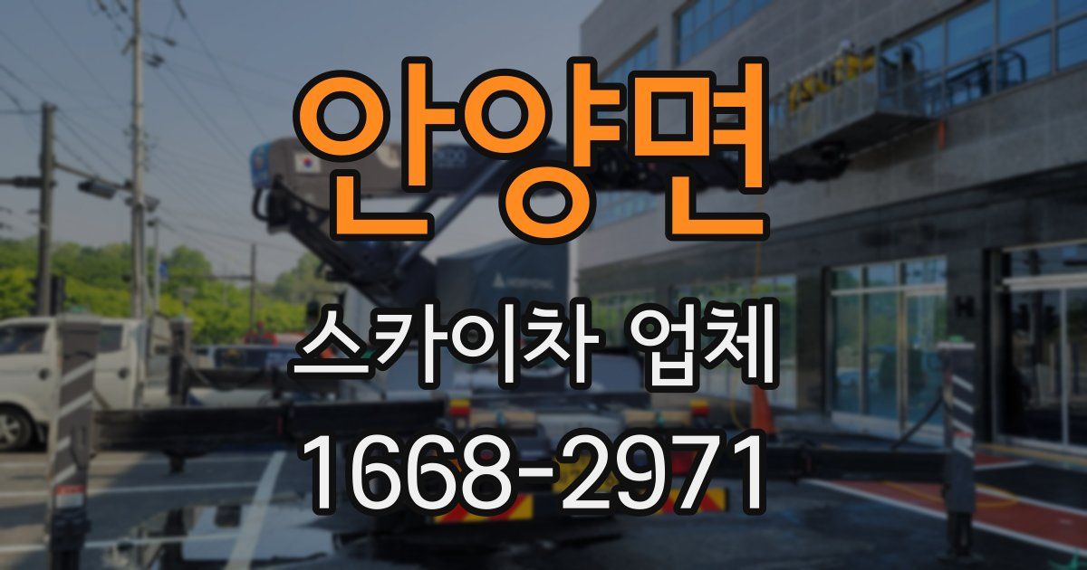 안양면 스카이차 업체