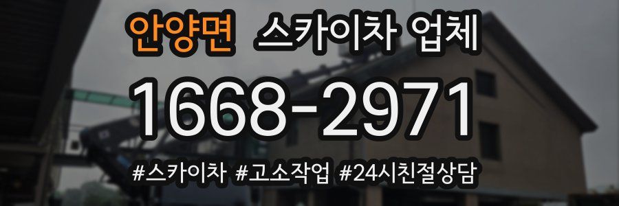 안양면 스카이차 업체