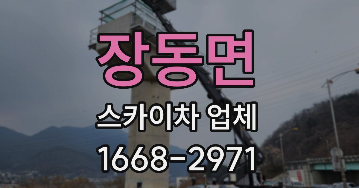 장동면 스카이차 업체