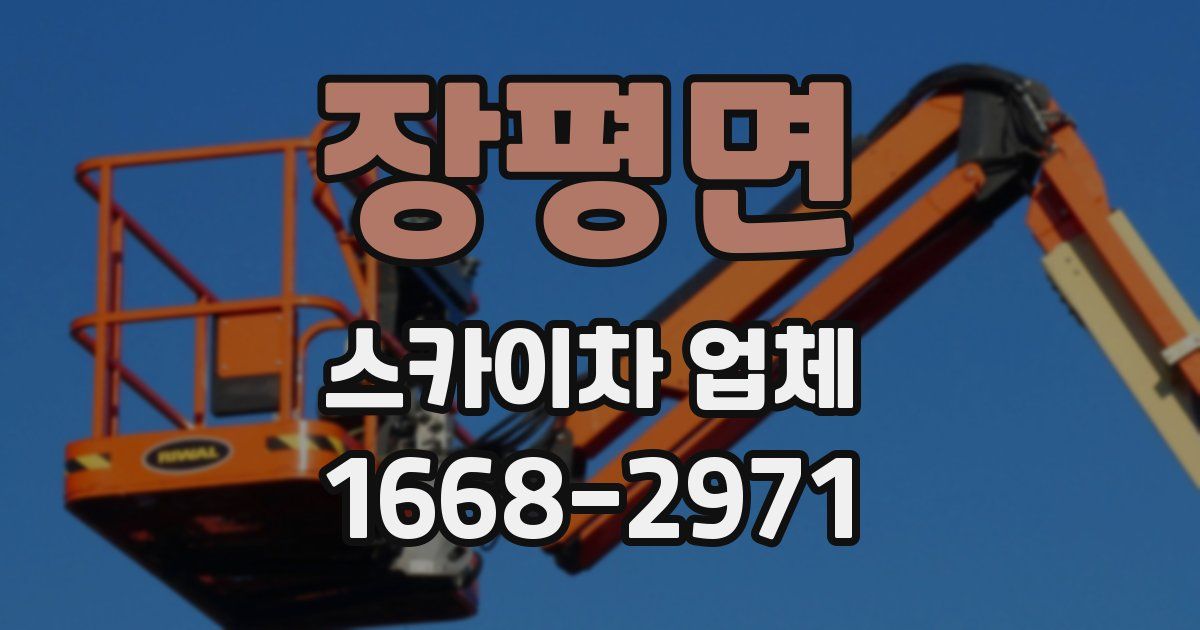 장평면 스카이차 업체