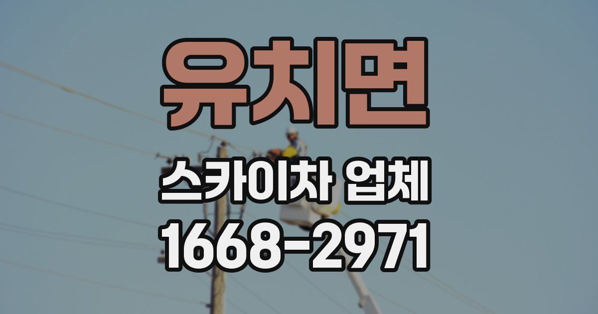 유치면 스카이차 업체
