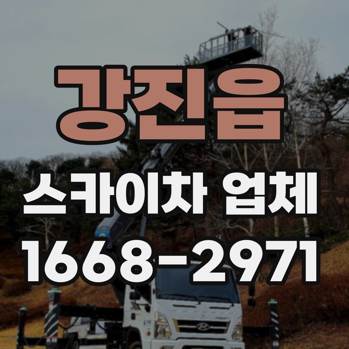 강진읍 스카이차 업체