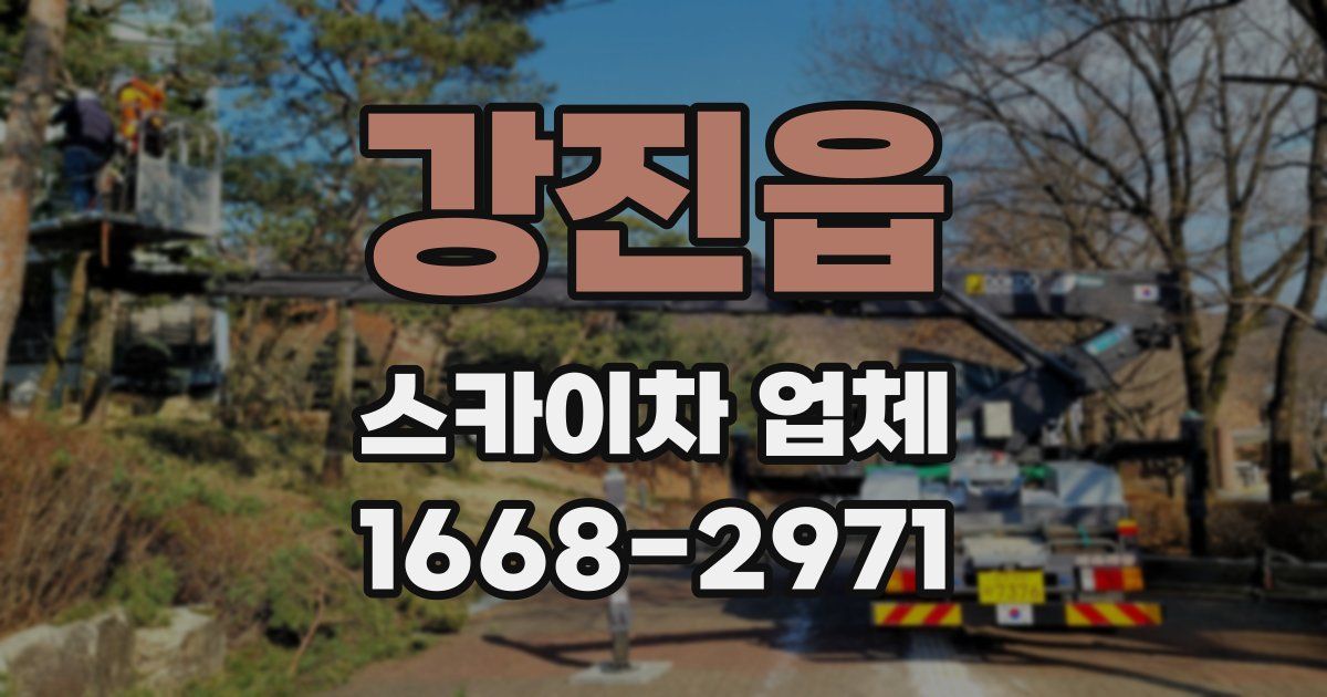 강진읍 스카이차 업체
