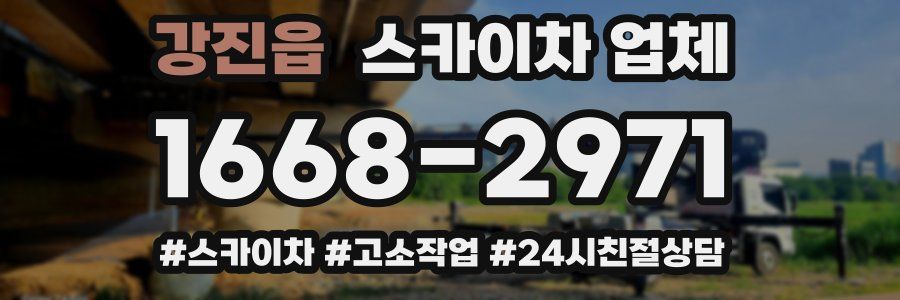 강진읍 스카이차 업체