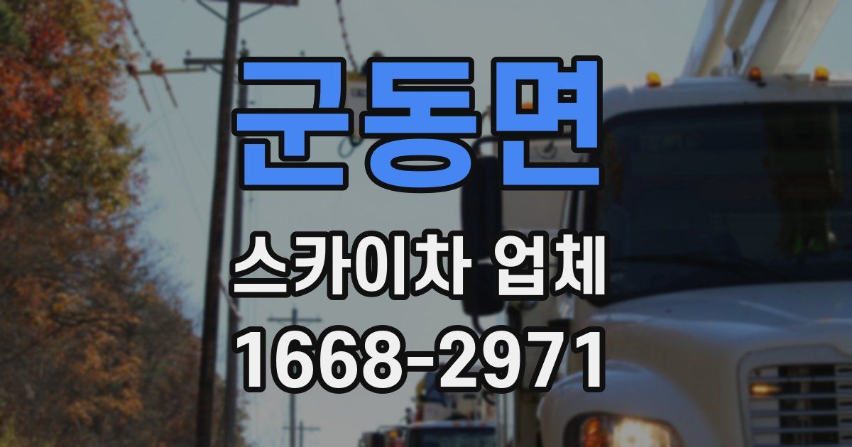 군동면 스카이차 업체