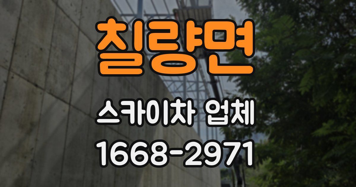 칠량면 스카이차 업체