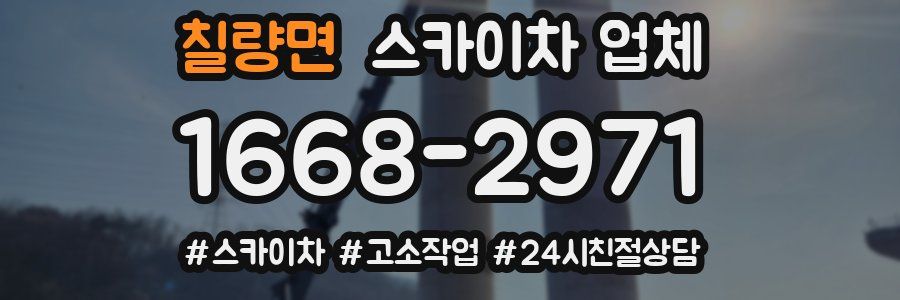 칠량면 스카이차 업체