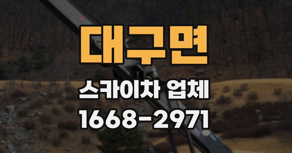 대구면 스카이차 업체
