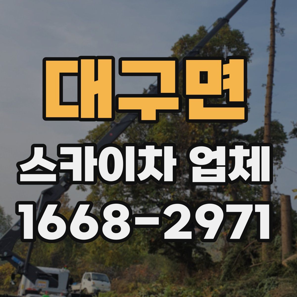 대구면 스카이차 업체