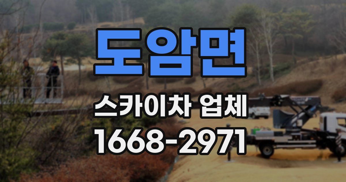 도암면 스카이차 업체