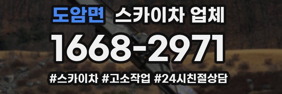 도암면 스카이차 업체