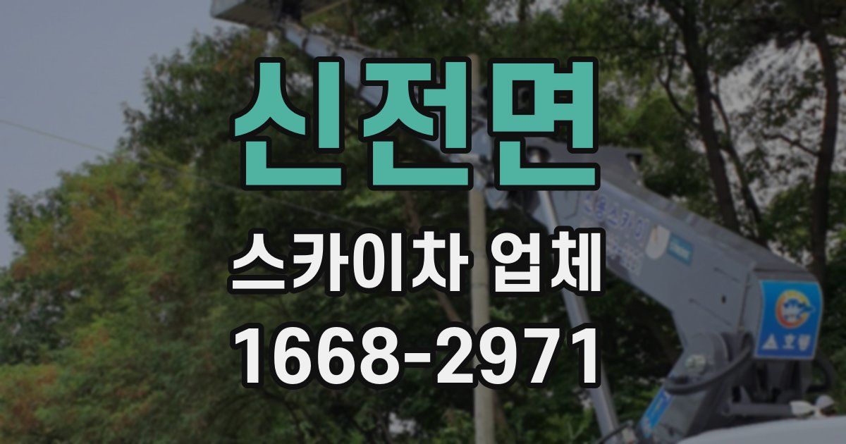 신전면 스카이차 업체