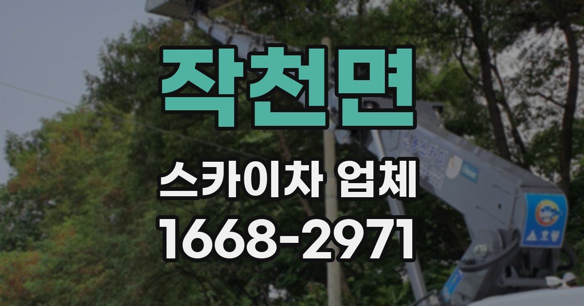작천면 스카이차 업체