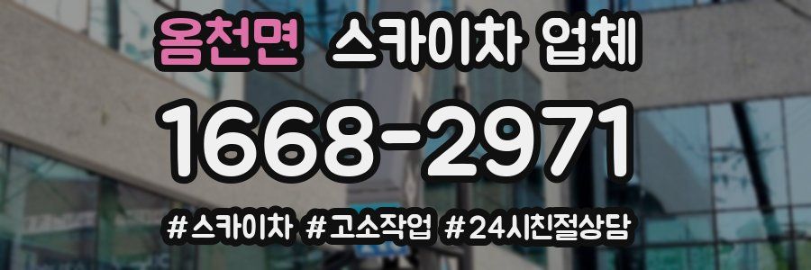 옴천면 스카이차 업체