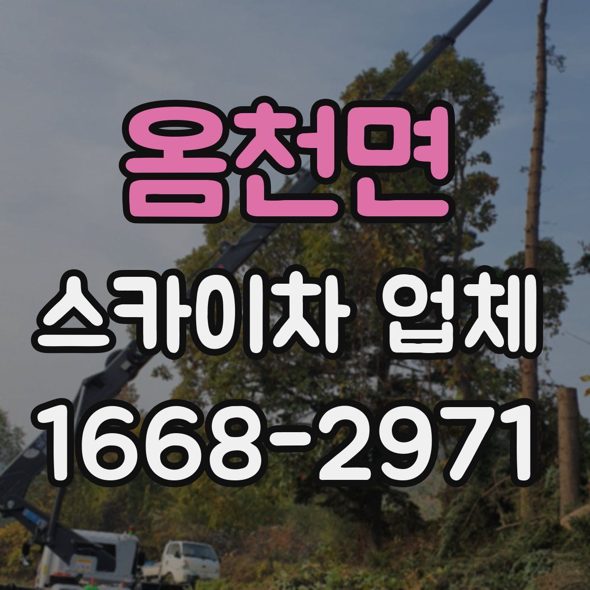 옴천면 스카이차 업체