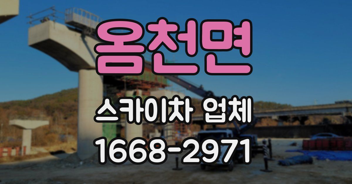 옴천면 스카이차 업체