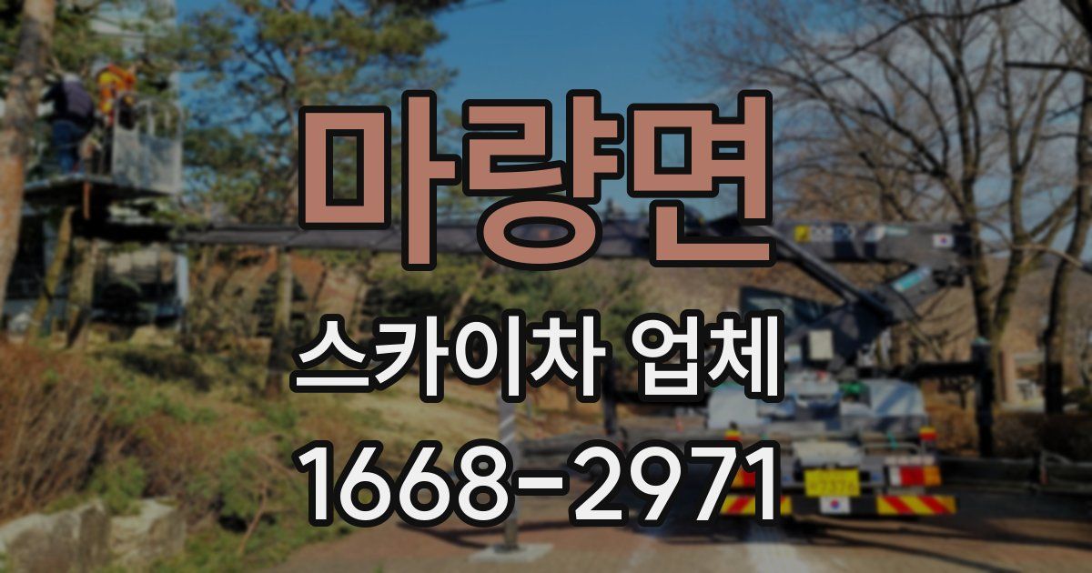 마량면 스카이차 업체