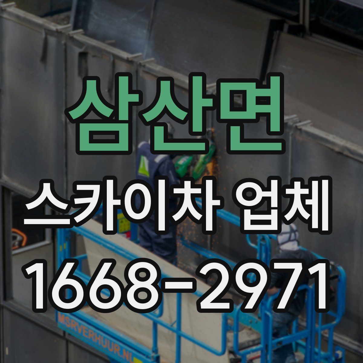 삼산면 스카이차 업체