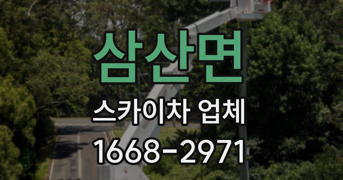 삼산면 스카이차 업체