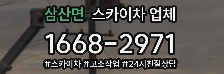삼산면 스카이차 업체