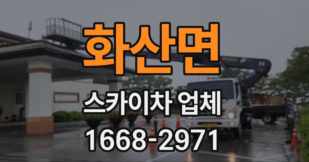 화산면 스카이차 업체
