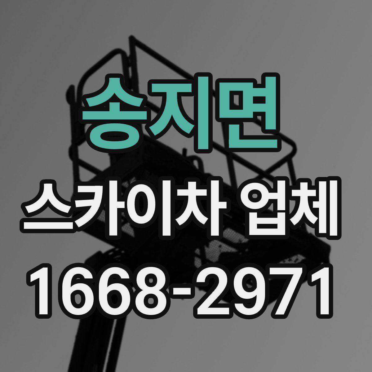 송지면 스카이차 업체