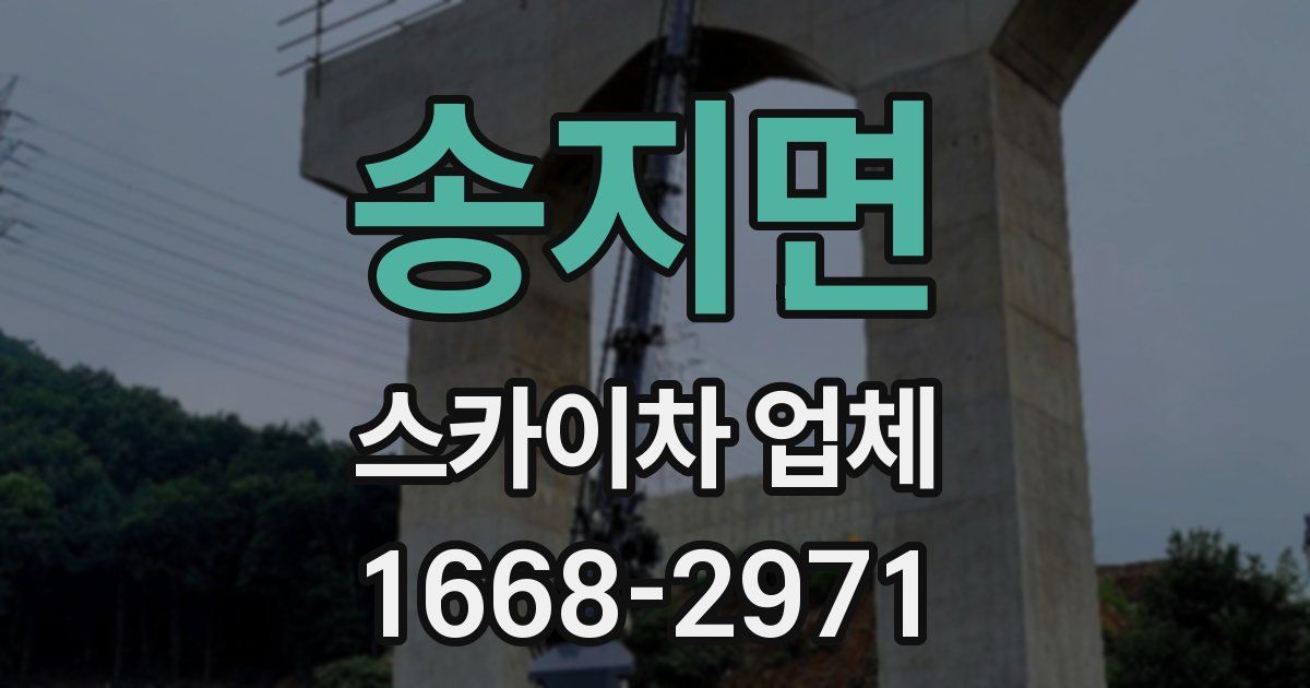 송지면 스카이차 업체