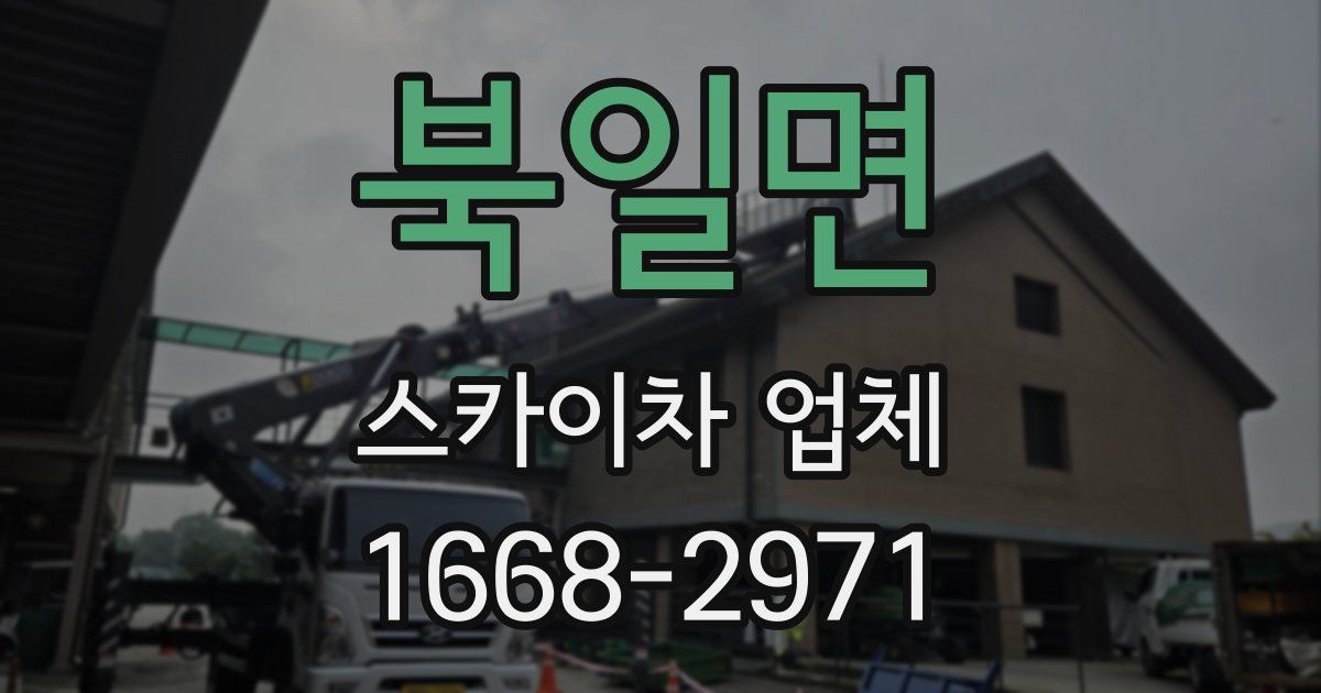 북일면 스카이차 업체