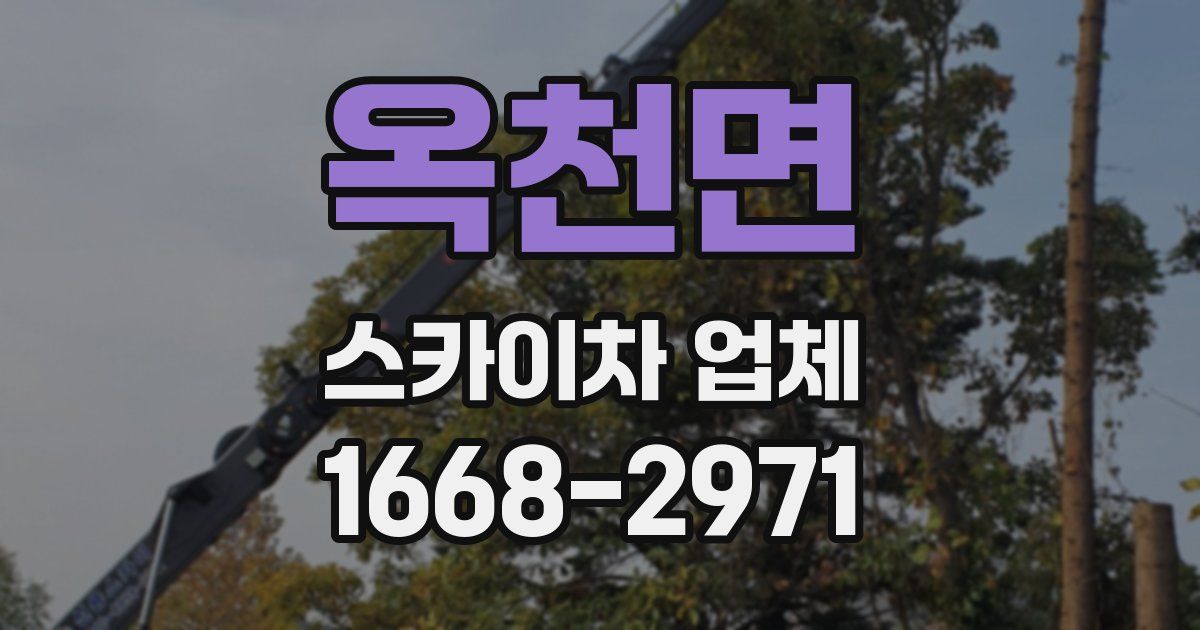 옥천면 스카이차 업체