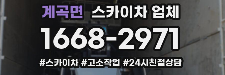 계곡면 스카이차 업체