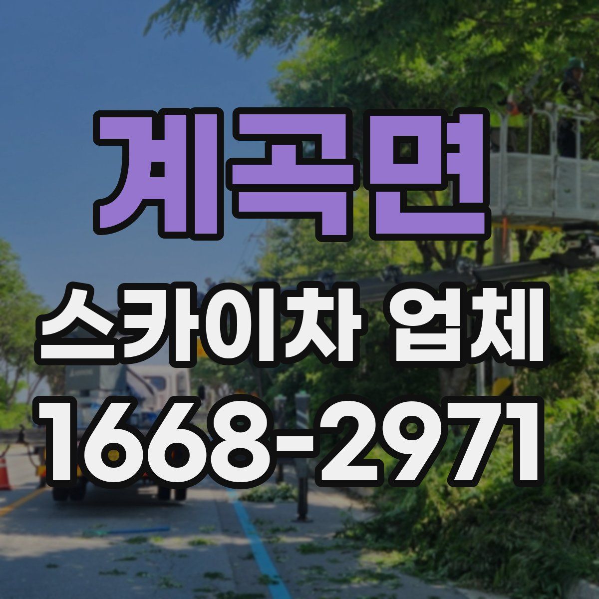 계곡면 스카이차 업체