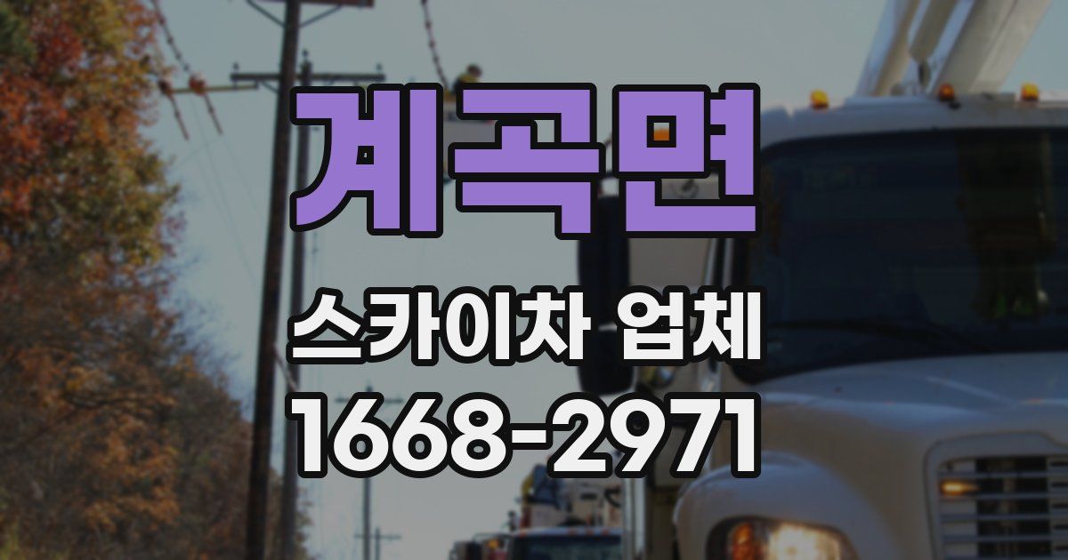 계곡면 스카이차 업체