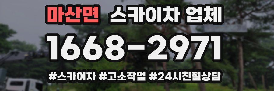 마산면 스카이차 업체
