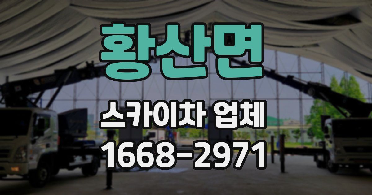 황산면 스카이차 업체