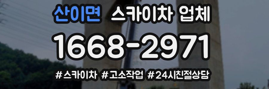 산이면 스카이차 업체