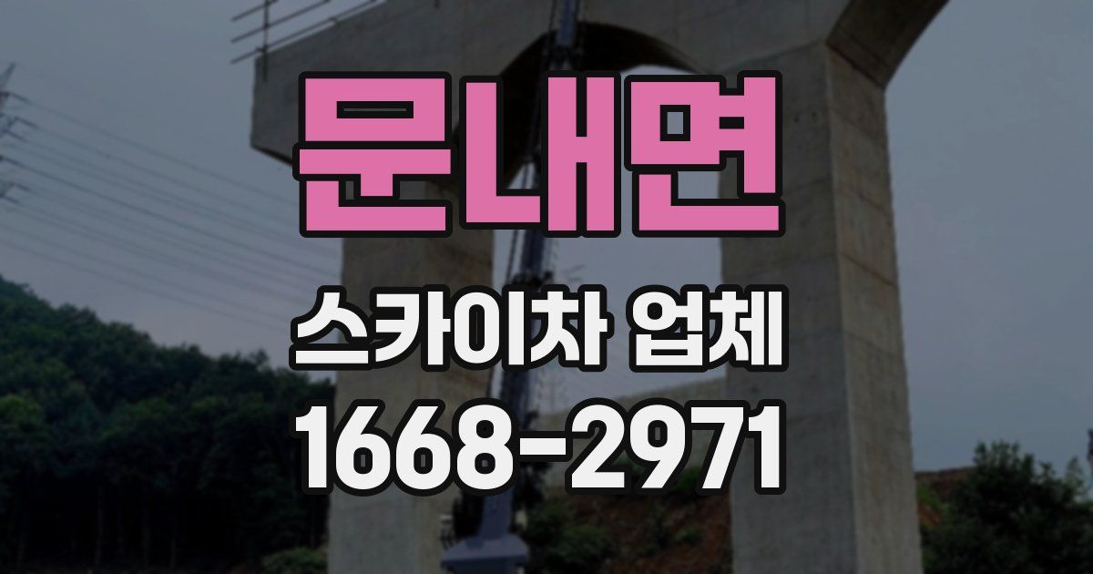 문내면 스카이차 업체