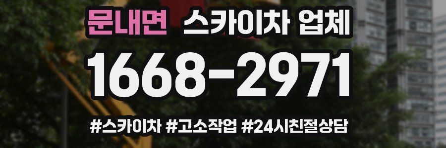 문내면 스카이차 업체