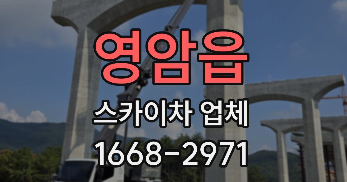 영암읍 스카이차 업체
