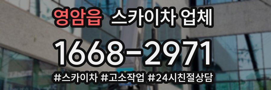 영암읍 스카이차 업체