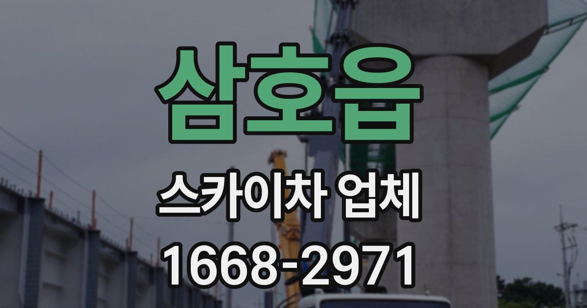 삼호읍 스카이차 업체