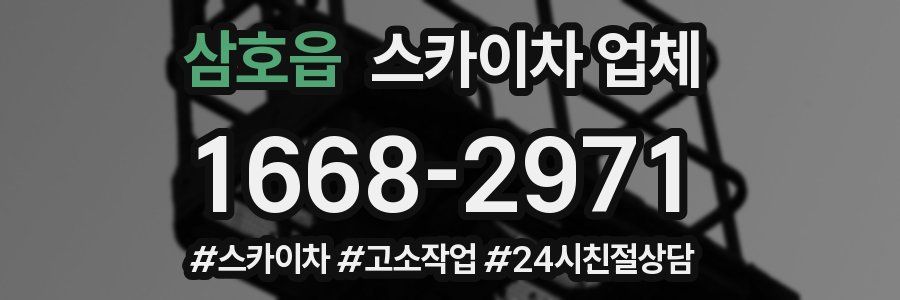 삼호읍 스카이차 업체