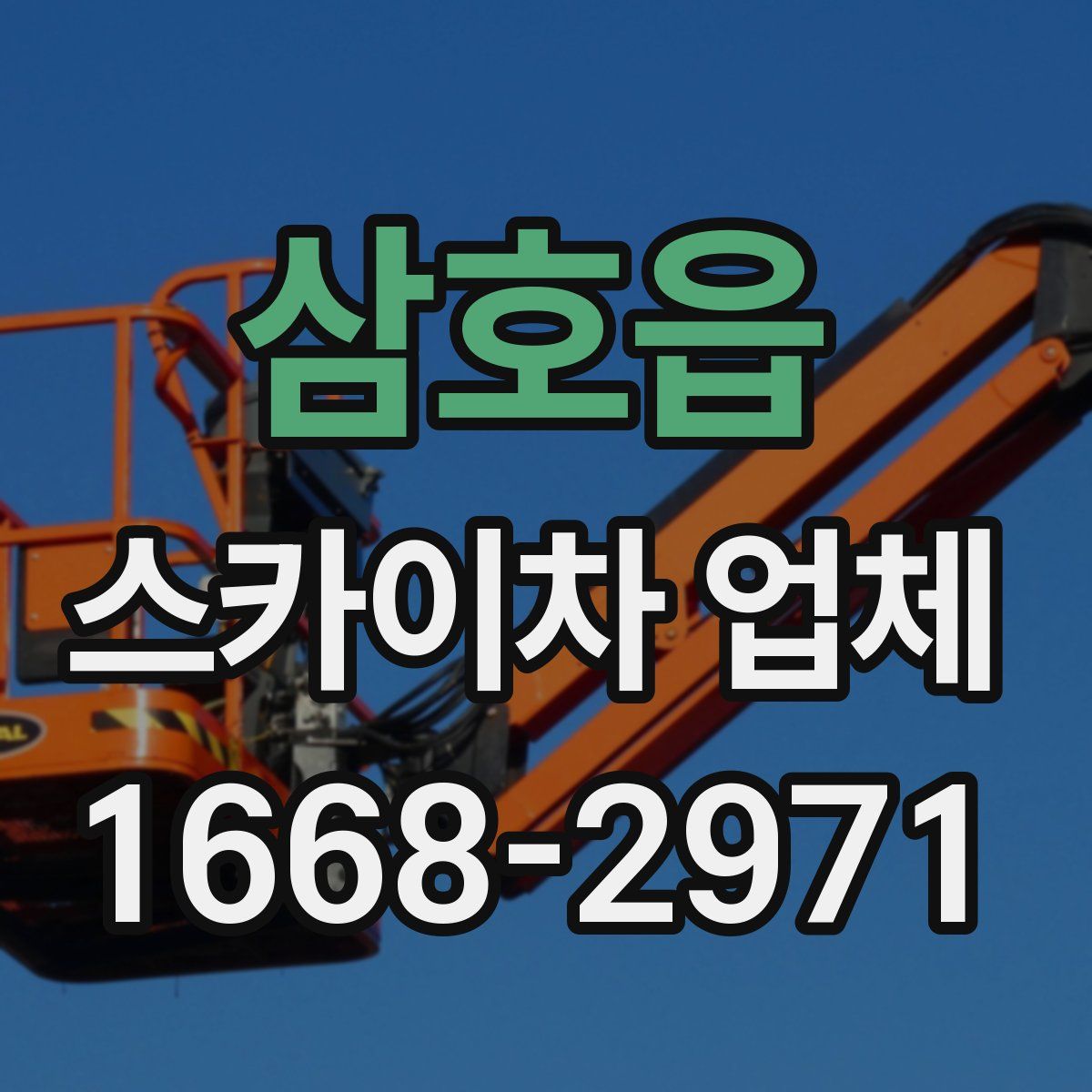 삼호읍 스카이차 업체