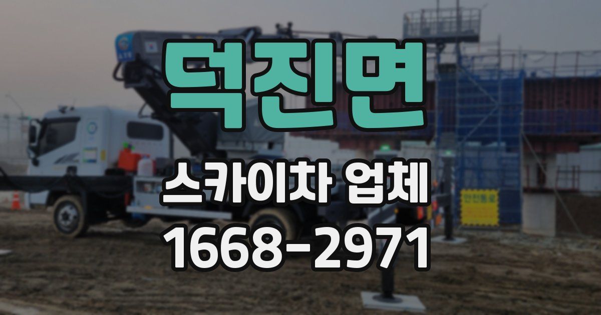 덕진면 스카이차 업체