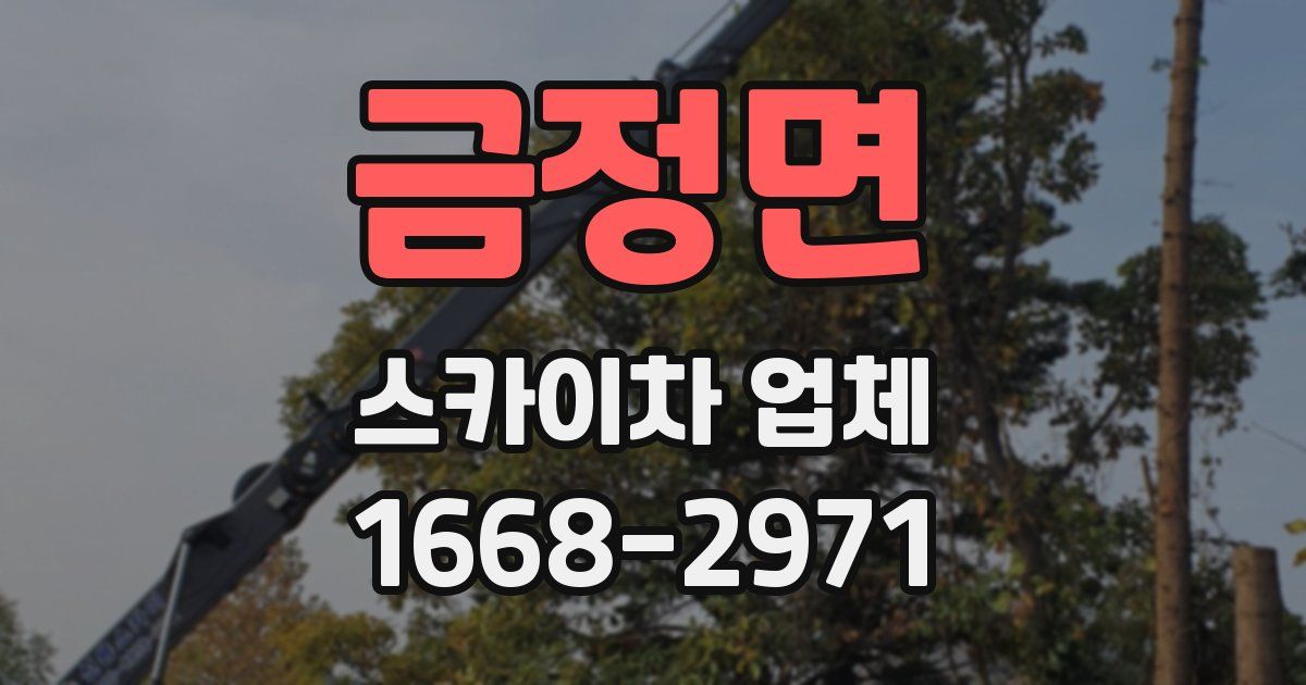 금정면 스카이차 업체